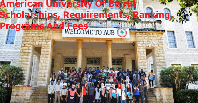 American University Of Beirut Scholarships