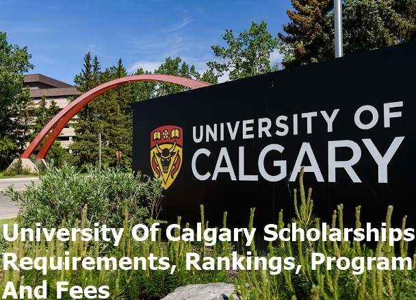 University Of Calgary Scholarships