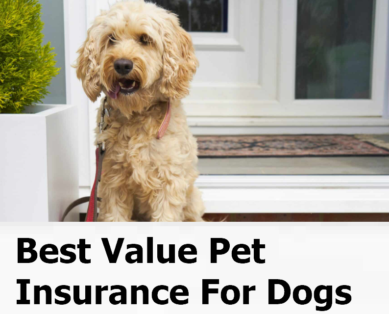 Best Value Pet Insurance For Dogs