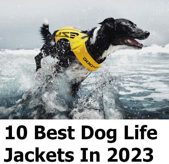 Best Dog Life Jacket