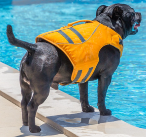 Thermal Dog Life Jacket