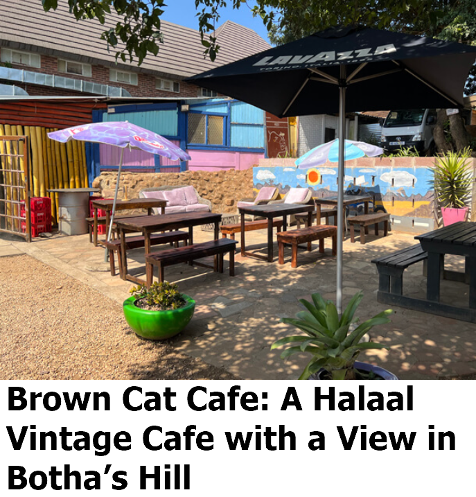 Brown Cat Cafe