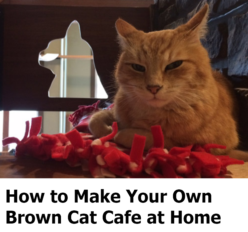 How to Make Your Own Brown Cat Cafe at Home