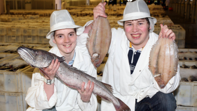 How to Visit Peterhead Fish Market