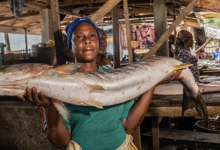 Where is the biggest fish market in the world?