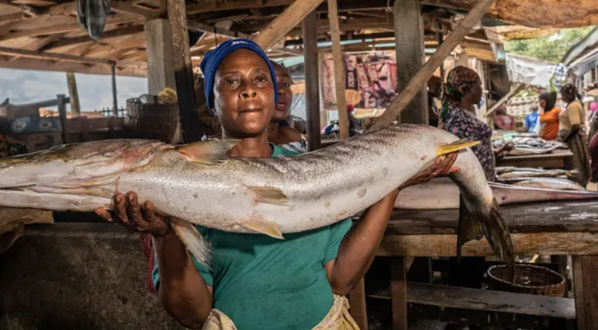 Where is the biggest fish market in the world?