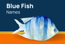 How to Choose the Perfect Name for Your Blue Pet Fish