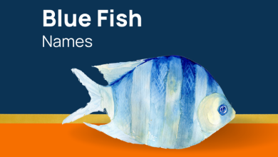 How to Choose the Perfect Name for Your Blue Pet Fish