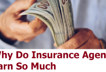 Why Do Insurance Agents Earn So Much