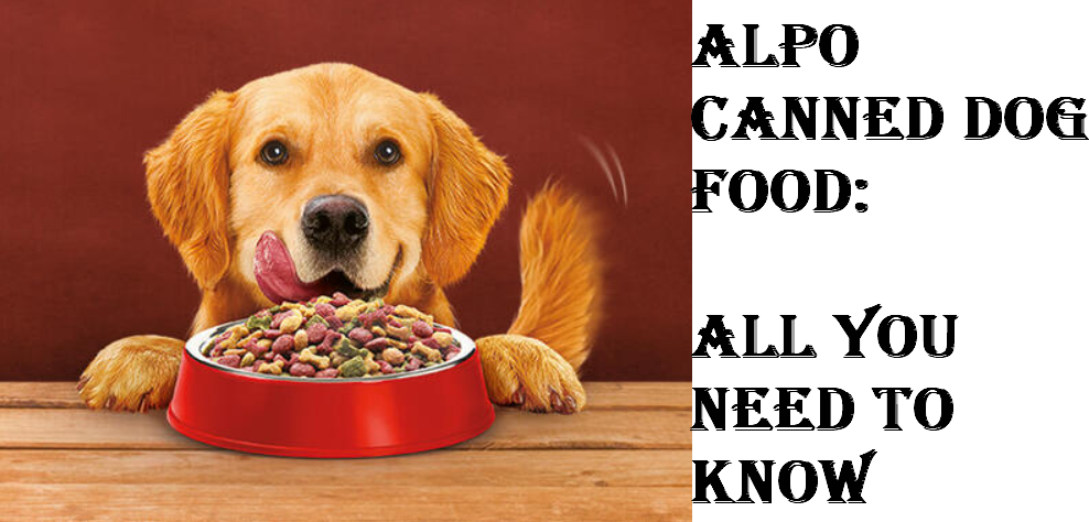 Alpo Canned Dog Food