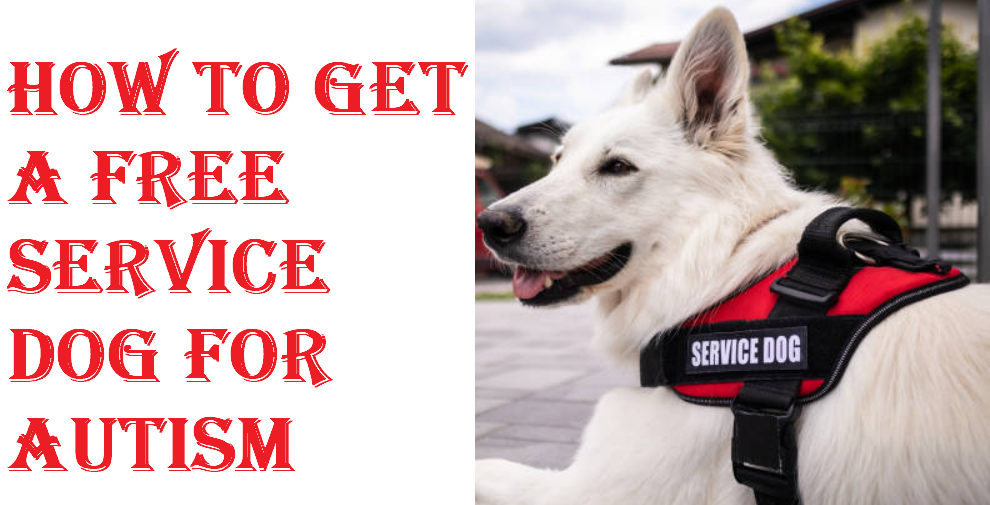 How To Get A Free Service Dog For Autism