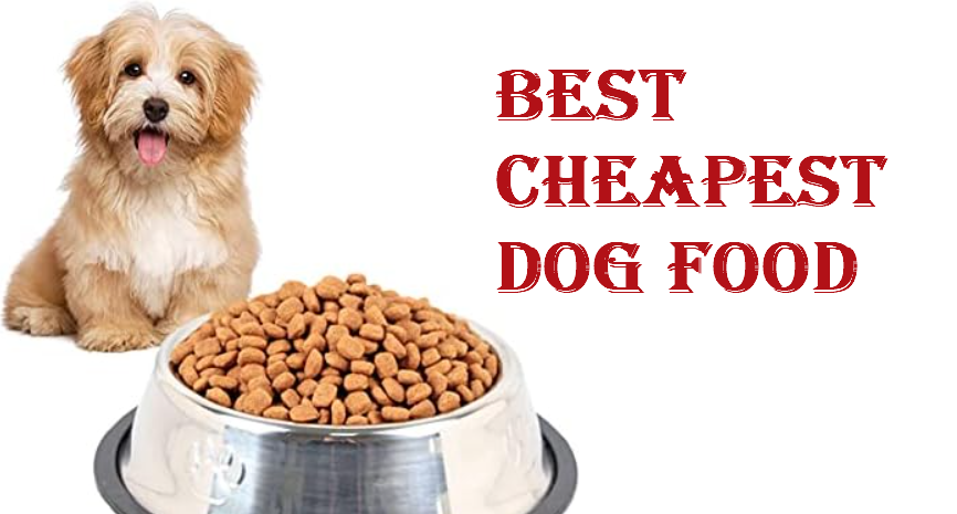 Best Cheapest Dog Food