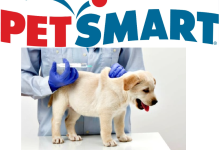 How Much Do Puppy Shots Cost at PetSmart
