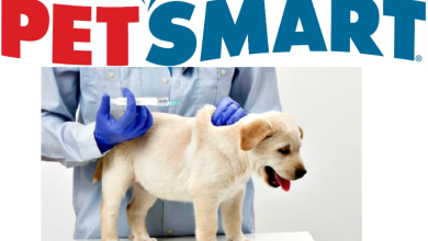 How Much Do Puppy Shots Cost at PetSmart