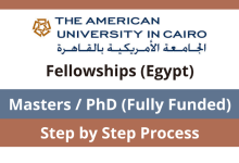 American University in Cairo Liberal Arts Undergraduate Scholarship