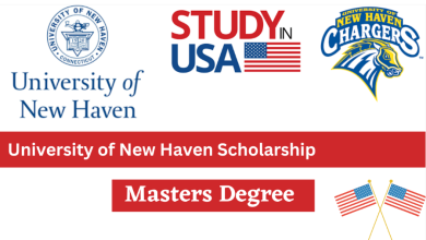University of New Haven Scholarship USA 2024